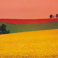 Czy daltonizm można korygować specjalnymi barwnymi szkłami?