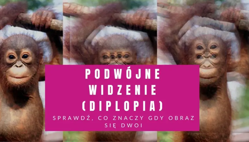 Małpka z potrójnymi oczami, sugerującymi podwójne widzenie (diplopię). Może to być spowodowane problemami z mięśniami okoruchowymi.