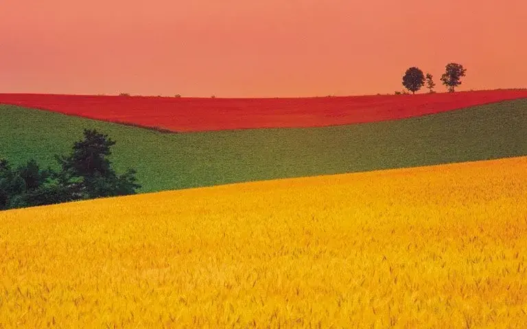 Czy daltonizm można korygować specjalnymi barwnymi szkłami?