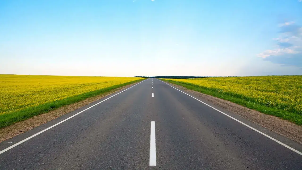 Droga biegnie przez pole rzepaku, aż po horyzont. Zastanawiasz się, jak daleko widzi ludzkie oko?